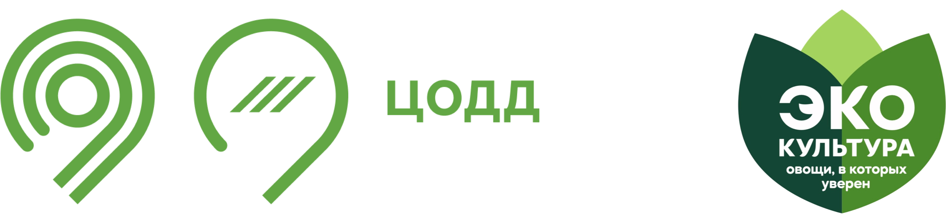 ЦОДД — Московский транспорт × ЭКО-культура